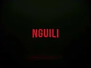 Nguiliflix Intro